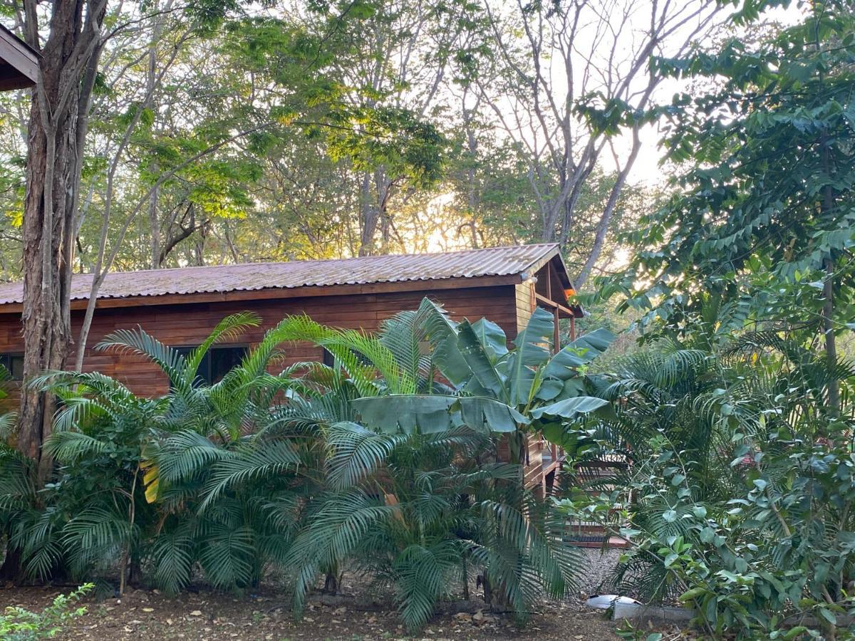 Casa Natural Brasilito Exteriör bild