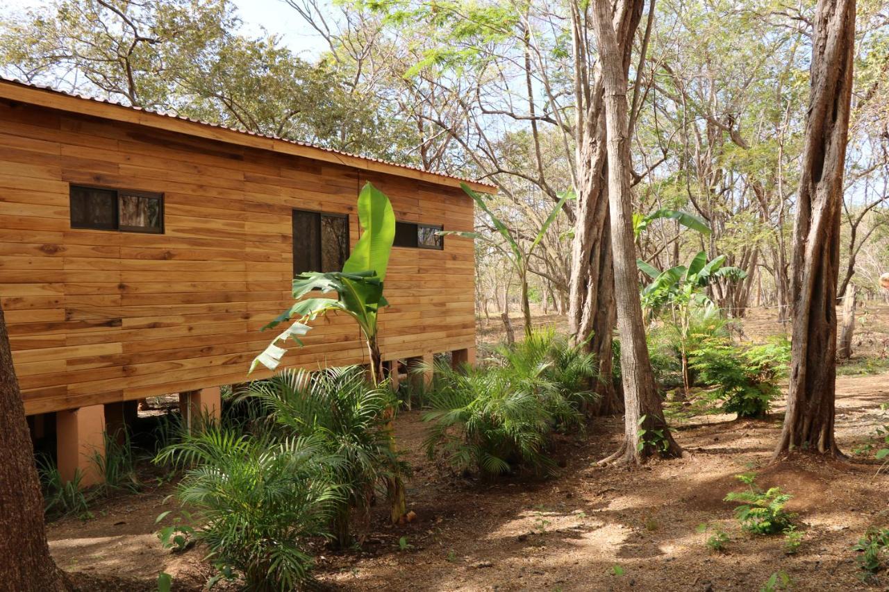 Casa Natural Brasilito Exteriör bild